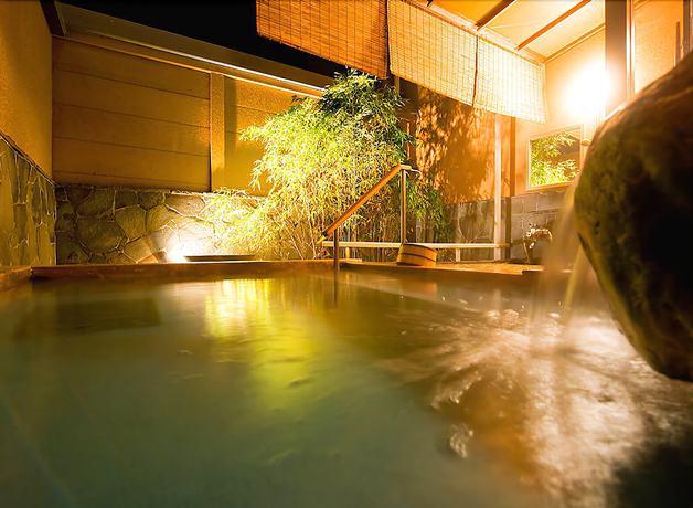 Imagen de la piscina del Ryokan Tokiichiyu. Foto 17