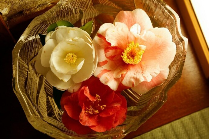 Imagen de la piscina del Ryokan Tsubakino, Toyooka. Foto 27