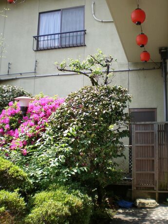 Imagen general del Ryokan Uetoh. Foto 8