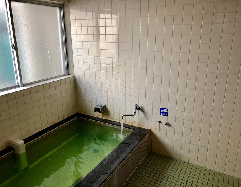 Imagen general del Ryokan Umeoka. Foto 5