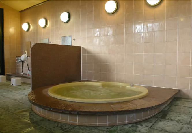 Imagen de la piscina del Ryokan Wako. Foto 8