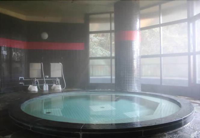 Imagen de la piscina del Ryokan Wako. Foto 9
