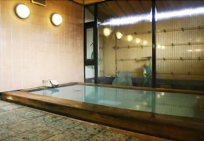 Imagen de la piscina del Ryokan Wako. Foto 10