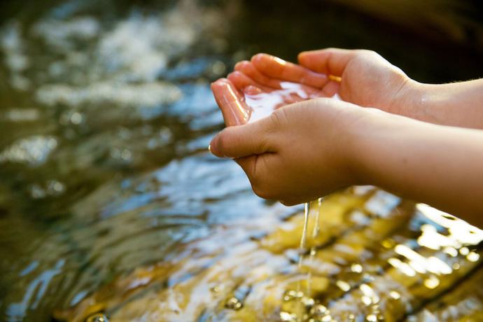 Imagen de la habitación del Ryokan Wataya. Foto 10