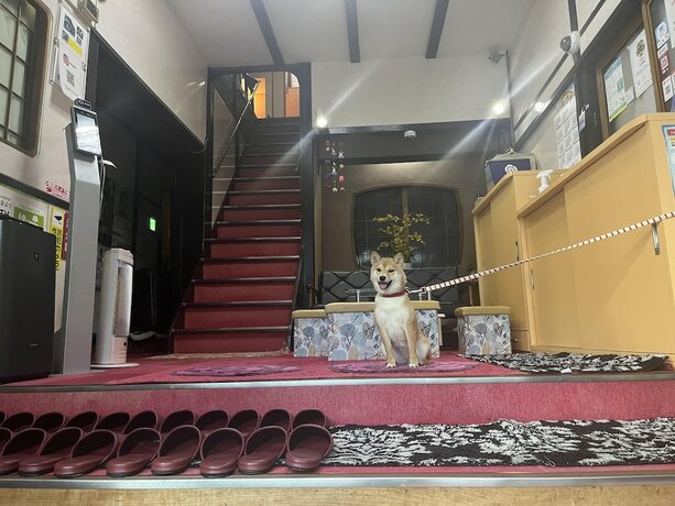 Imagen general del Ryokan Yamamoto, Fukuoka. Foto 9