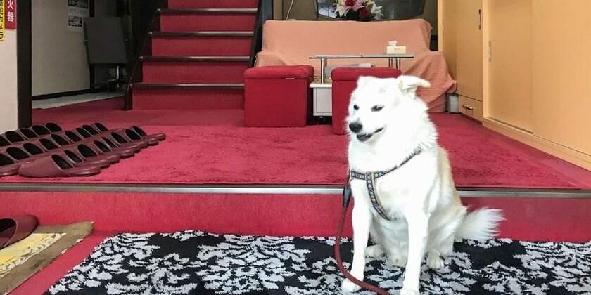 Imagen de los interiores del Ryokan Yamamoto, Fukuoka. Foto 32