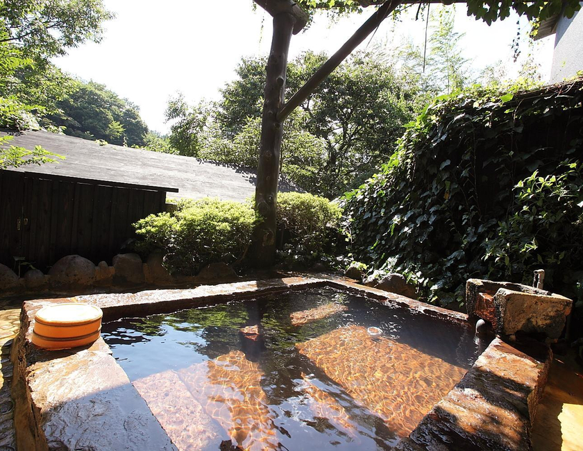 Imagen general del Ryokan Yamanoyu, Minamioguni. Foto 20