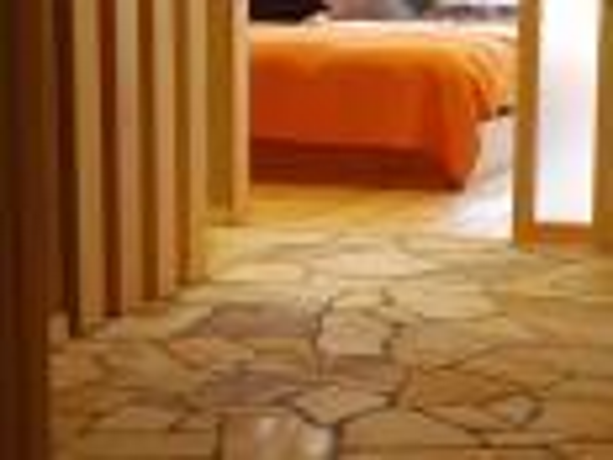 Imagen general del Ryokan Yatsusankan, Hida. Foto 4