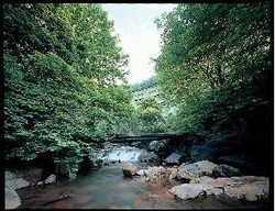 Imagen general del Ryokan Yokoya Onsen. Foto 1