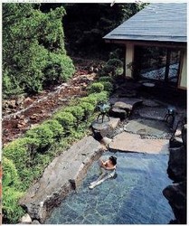 Imagen general del Ryokan Yokoya Onsen. Foto 6