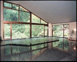 Imagen general del Ryokan Yokoya Onsen. Foto 9