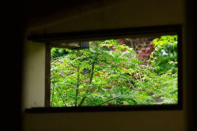 Imagen general del Ryokan Yufuin Nogiku. Foto 10