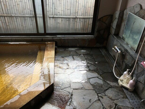 Imagen de la piscina del Ryokan Yuri. Foto 31