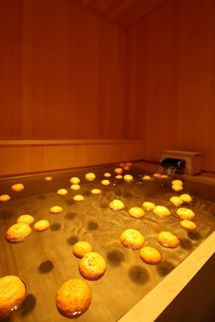 Imagen general del Ryokan Yuzuya. Foto 2