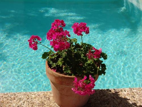 Imagen general del Villa Carmen del Rosal. Foto 2