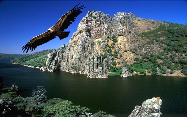 Imagen general del Villa Casas Rurales Acebuche. Foto 3