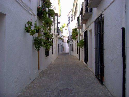 Imagen general del Villa Priego de Cordoba. Foto 1