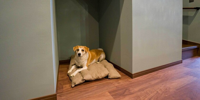 Imagen general del Villa Rakuten STAY Nasu. Foto 4