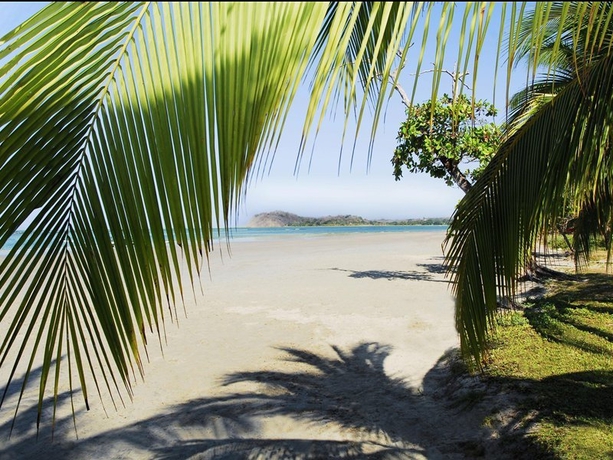 Imagen general del Villa s Playa Samara Beach Front Resort - All Inclusive. Foto 8