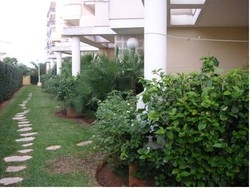 Imagen general del Viviendas Turísticas Vacacionales APTOS. EL FARO. Foto 4