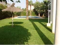 Imagen general del Viviendas Turísticas Vacacionales APTOS. EL FARO. Foto 5