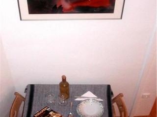 Imagen general del Viviendas Turísticas Vacacionales Apartment Akademia. Foto 6