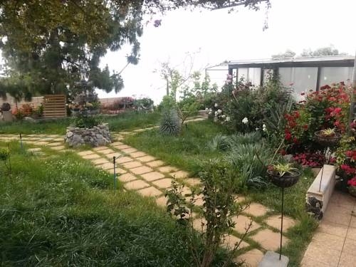 Imagen general del Viviendas Turísticas Vacacionales Casa Flor, Vilaflor. Foto 6