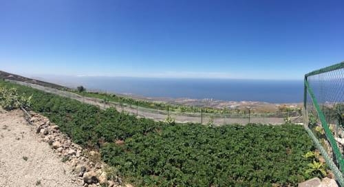 Imagen general del Viviendas Turísticas Vacacionales Casa Rural Macrina. Foto 8