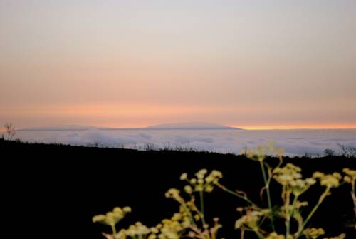 Imagen general del Viviendas Turísticas Vacacionales Casa Rural Monte del Agua. Foto 8
