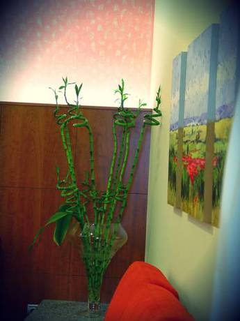 Imagen general del Viviendas Turísticas Vacacionales Portonovo, Portonovo. Foto 5