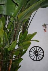 Imagen general del Viviendas Turísticas Vacacionales Silos19. Foto 2