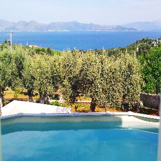 Imagen de la piscina del Viviendas Turísticas Vacacionales Villa Konaki. Foto 30