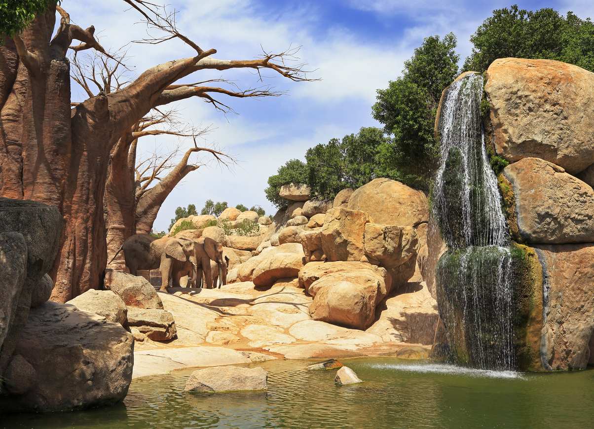 Imagen de Bioparc Valencia