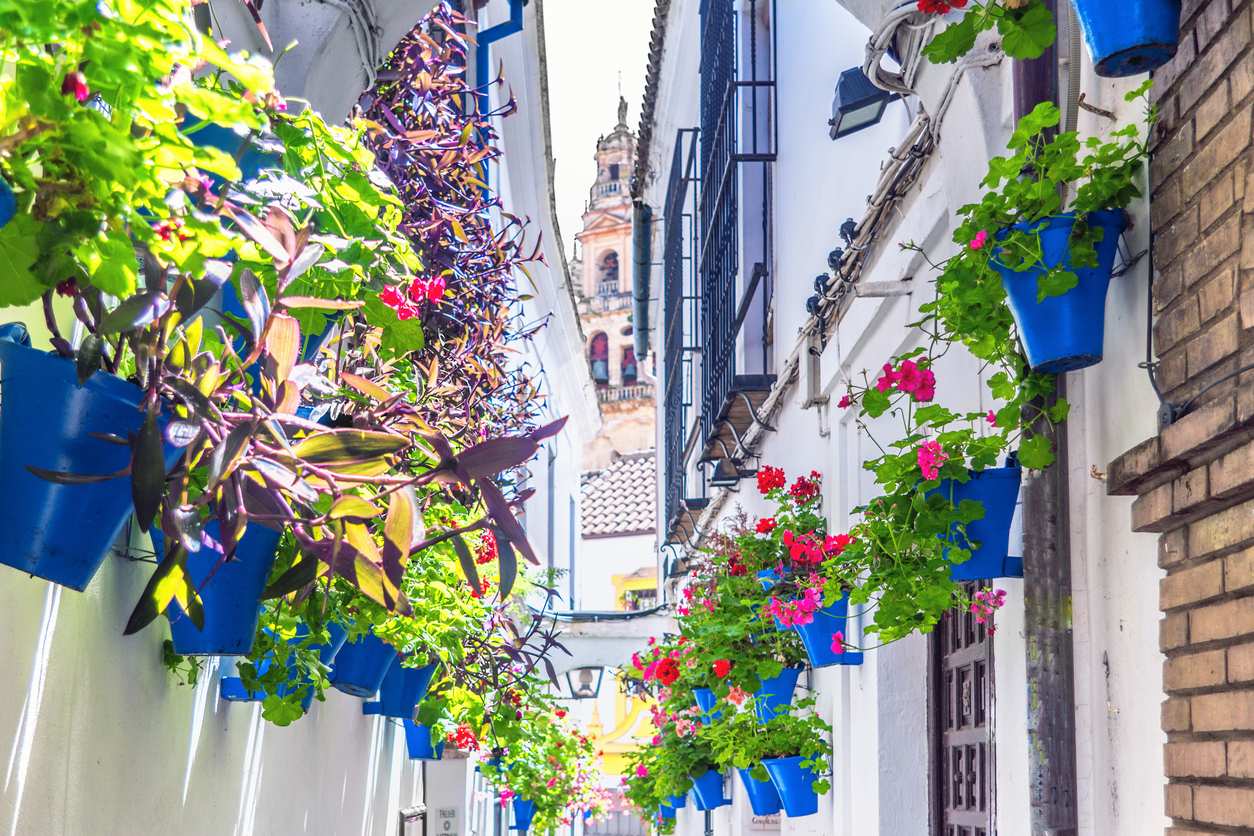 Imagen de Calleja de las Flores