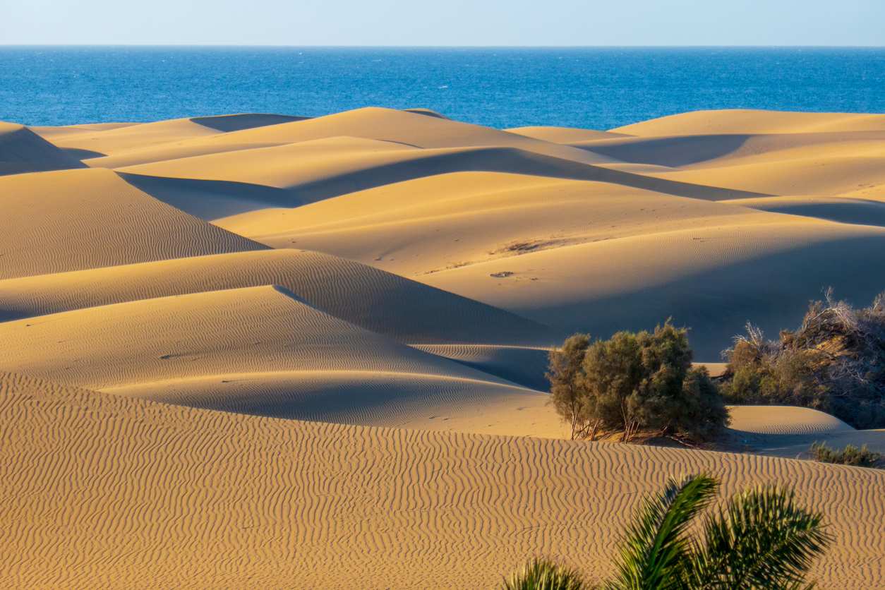 Imagen de Dunas de Maspalomas