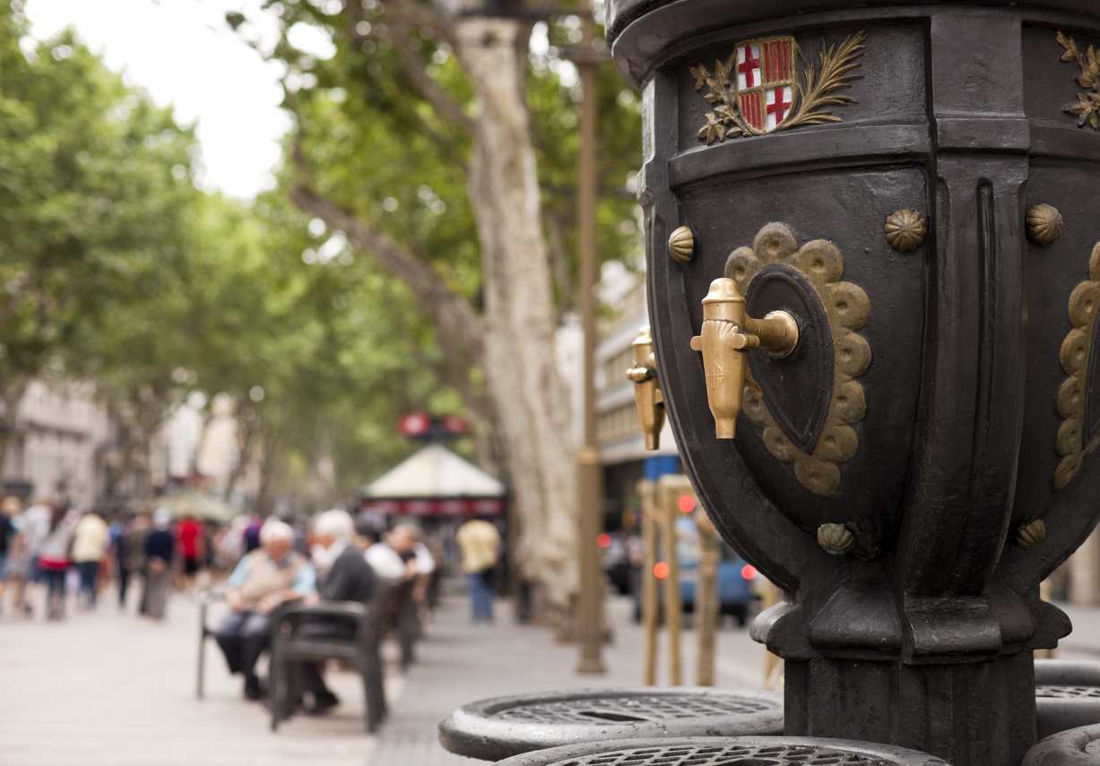 Imagen de Fuente de Canaletas