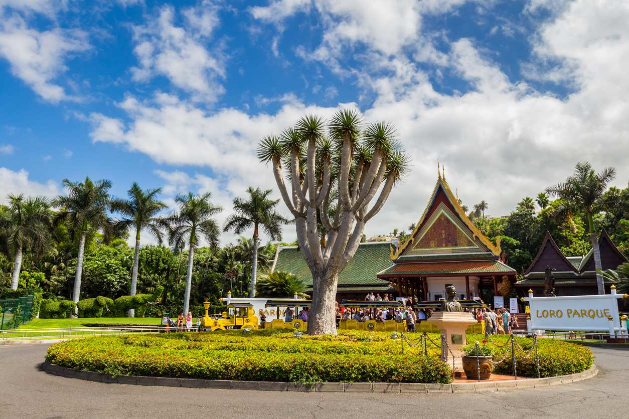 Imagen de Loro Parque