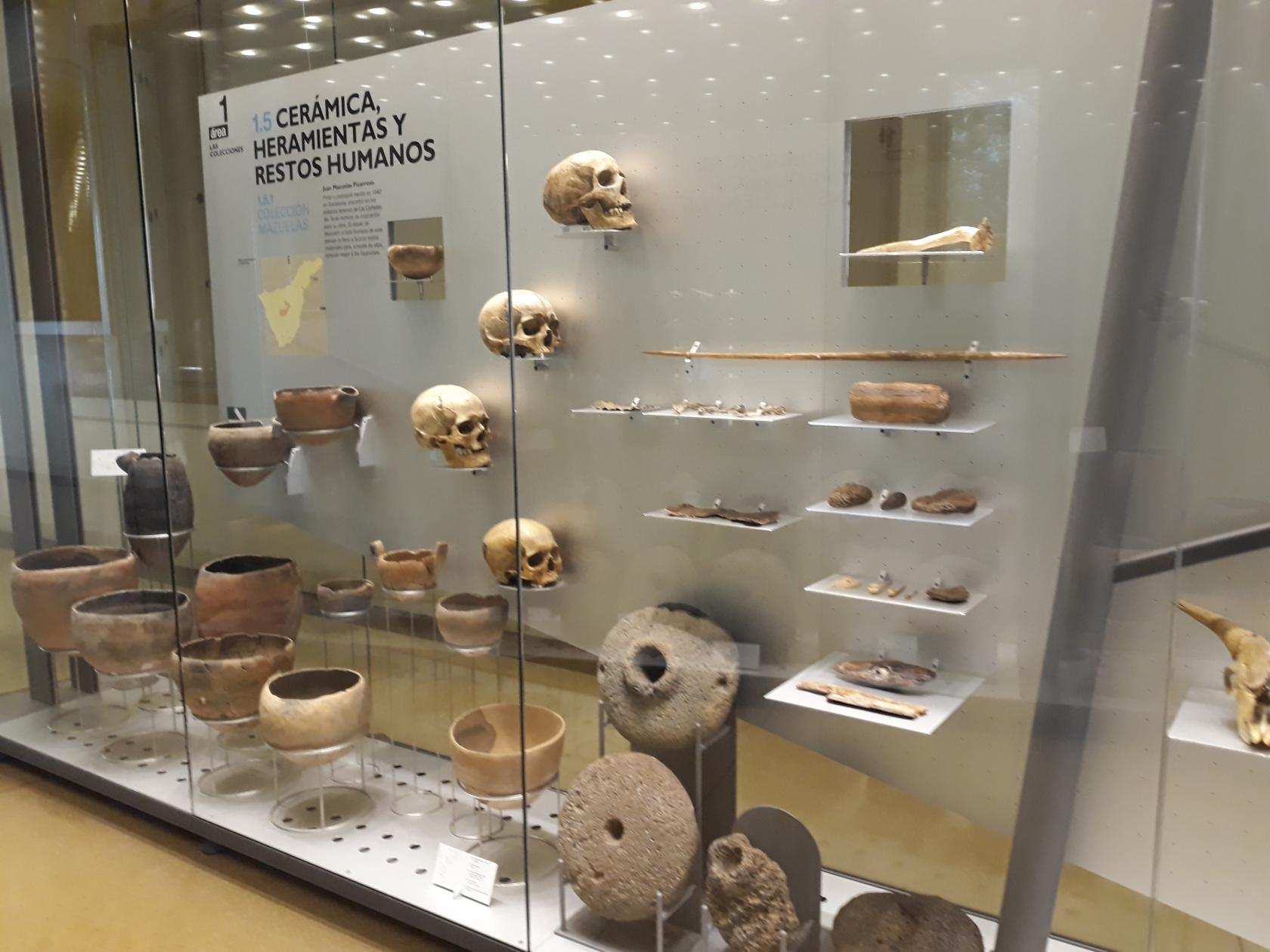 Imagen de Museo de Naturaleza y Arqueología