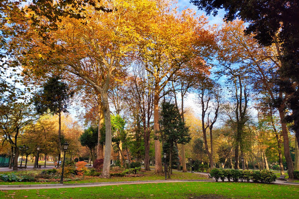 Imagen de Parque Campo de San Francisco