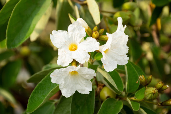 Imagen de Parque de la Constitución