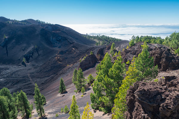 Imagen de Volcán de la Deseada
