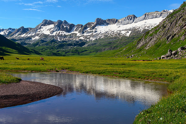 Imagen de Aguas Tuertas