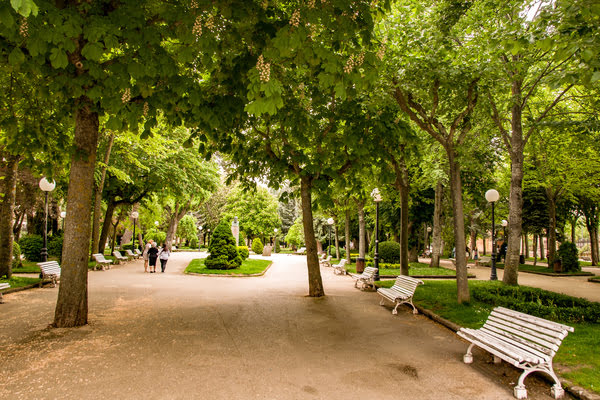 Imagen de Alameda de Cervantes