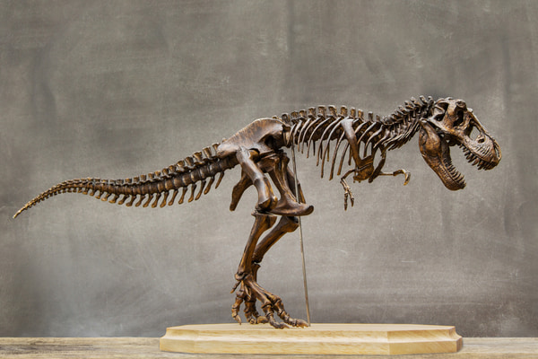 Imagen de Dinópolis