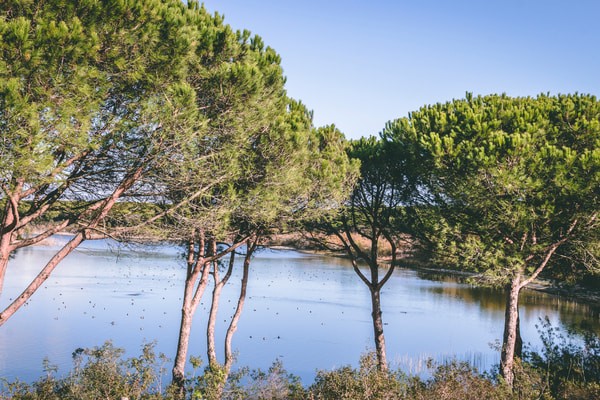 Imagen de Laguna del Portil
