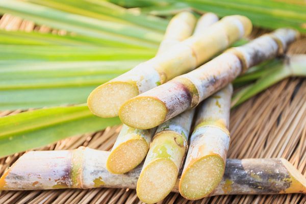Imagen de Museo Preindustrial de la Caña de Azúcar
