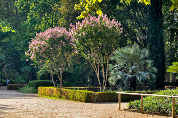 Imagen de Parque de la Devesa