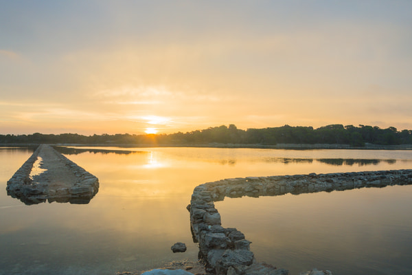 Imagen de Parque Natural de Ses Salines