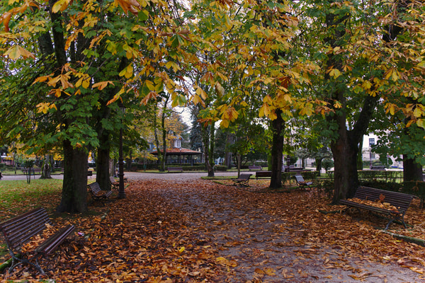Imagen de Parque Rosalía de Castro