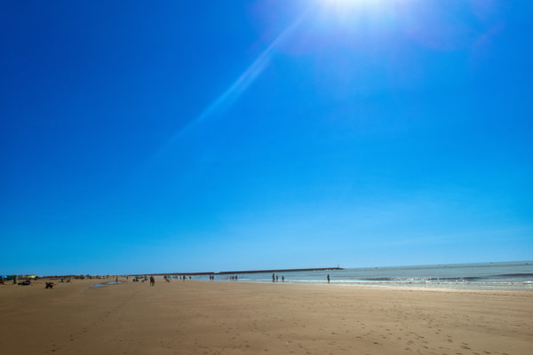 Imagen de Playa de Isla Canela